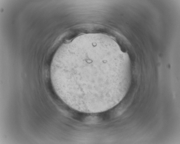 X0000074970119200609291948