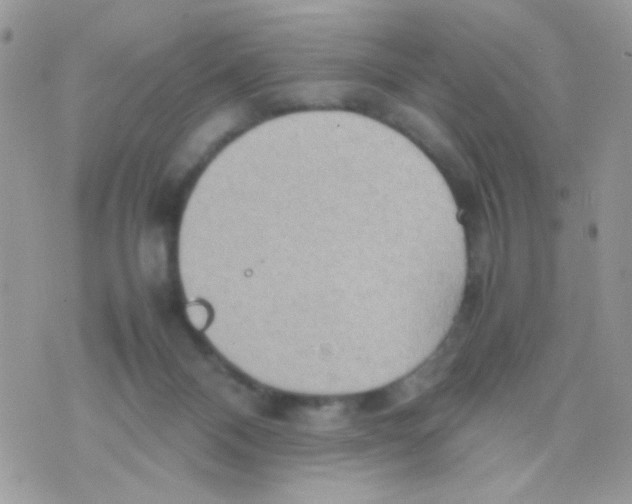 X0000074970120200609291948