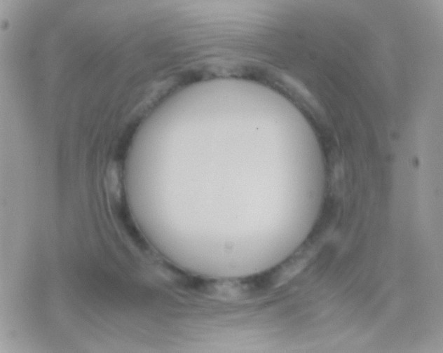 X0000074970121200609291948