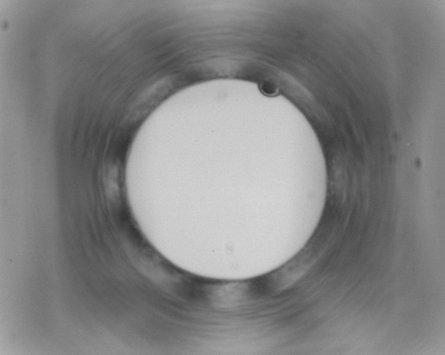 X0000074970122200609291948