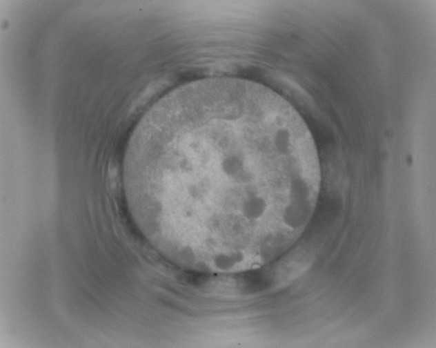 X0000074970123200609291948