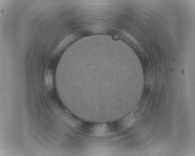 X0000074970124200609291948