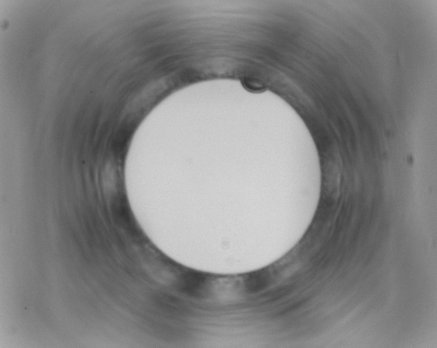 X0000074970126200609291948