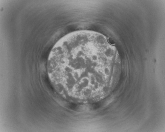 X0000074970127200609291948