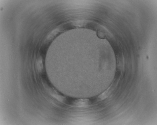 X0000074970128200609291948