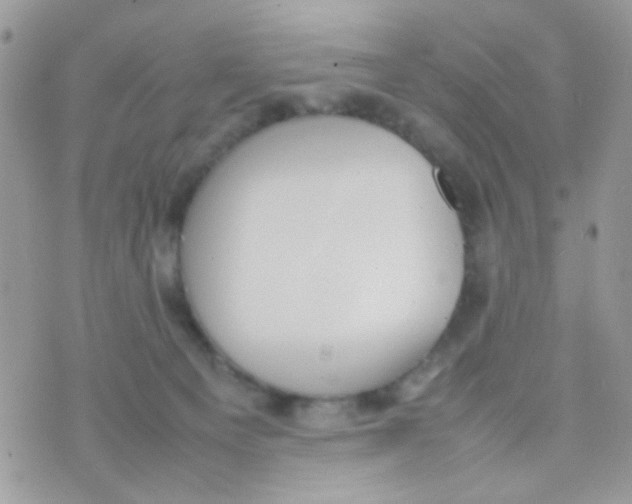 X0000074970129200609291948