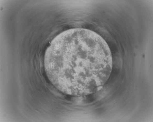 X0000074970131200609291948