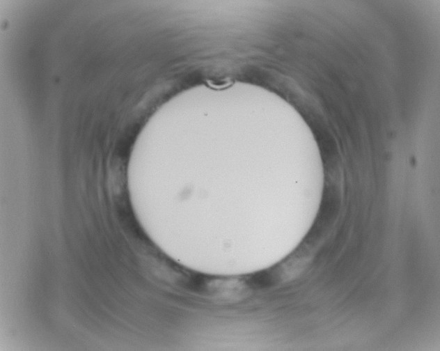 X0000074970133200609291947