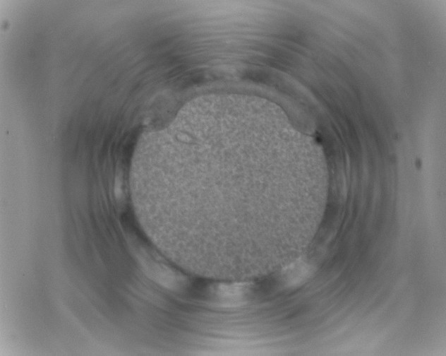 X0000074970134200609291947