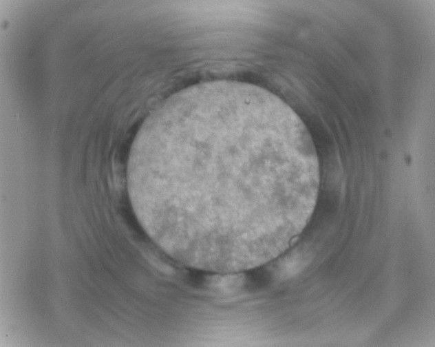 X0000074970135200609291947