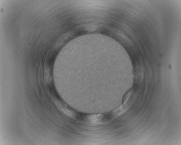 X0000074970136200609291947