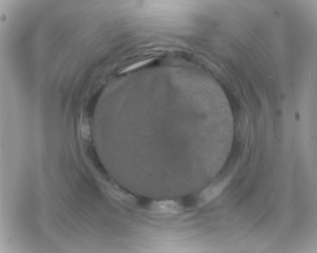 X0000074970137200609291947