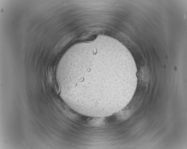 X0000074970138200609291947