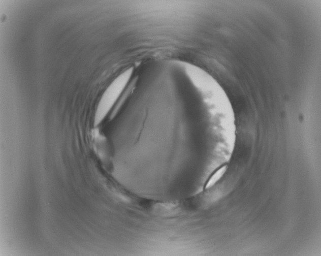 X0000074970139200609291947