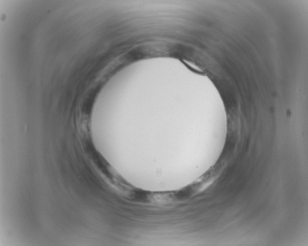 X0000074970141200609291947