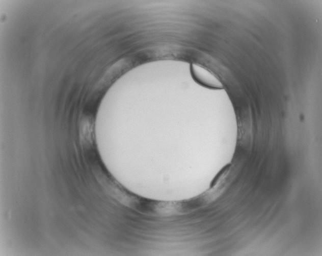 X0000074970142200609291947