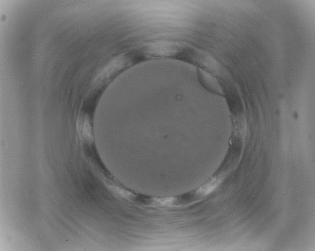 X0000074970143200609291947