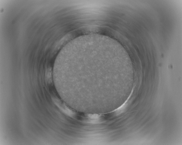 X0000074970144200609291947