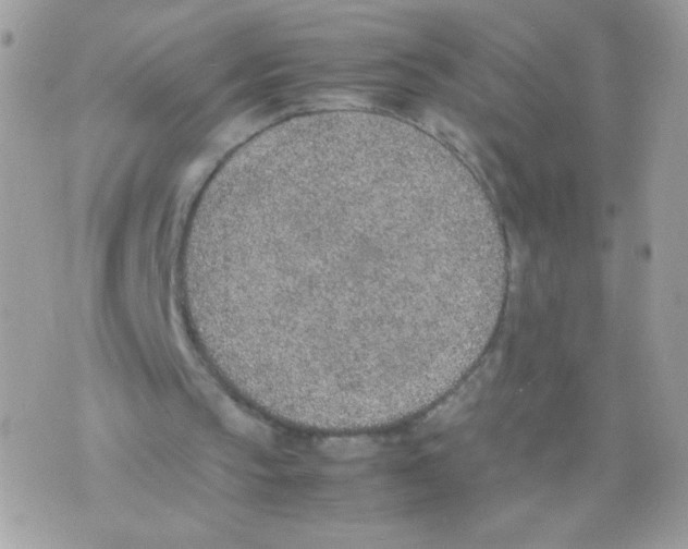 X0000074970145200609291947