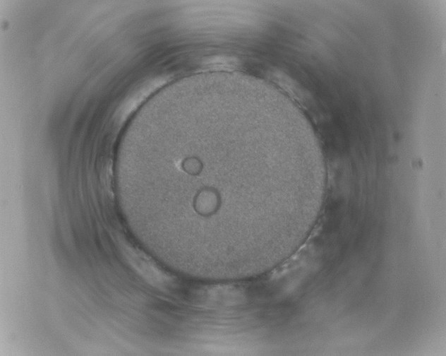 X0000074970146200609291947