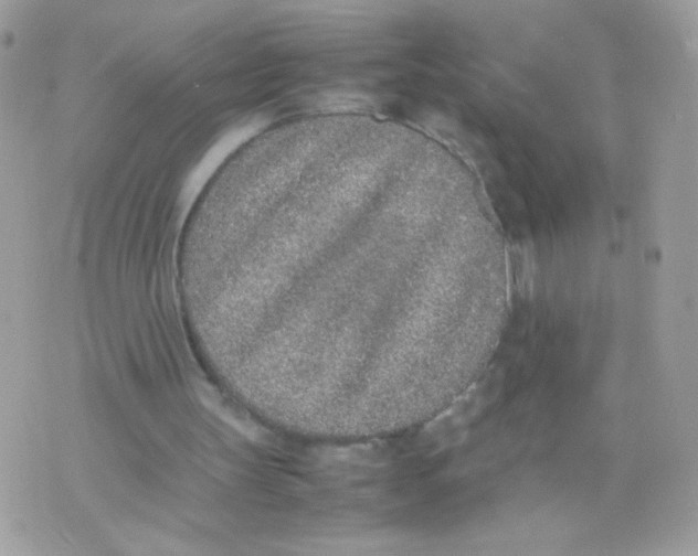 X0000074970147200609291947