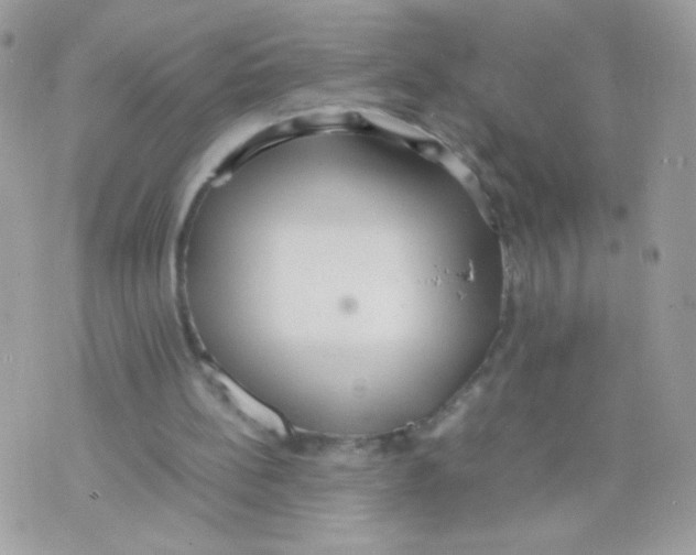 X0000074970148200609291947