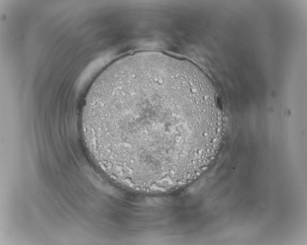 X0000074970149200609291947