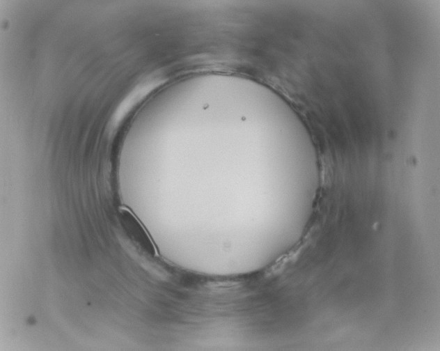 X0000074970150200609291947