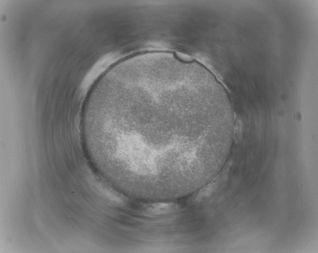 X0000074970151200609291947