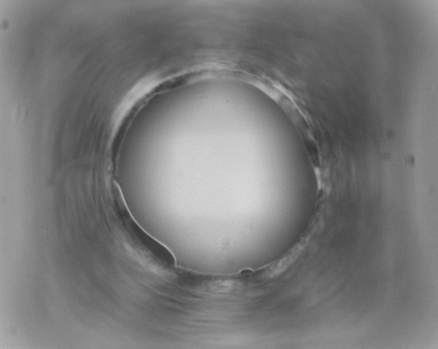 X0000074970152200609291947