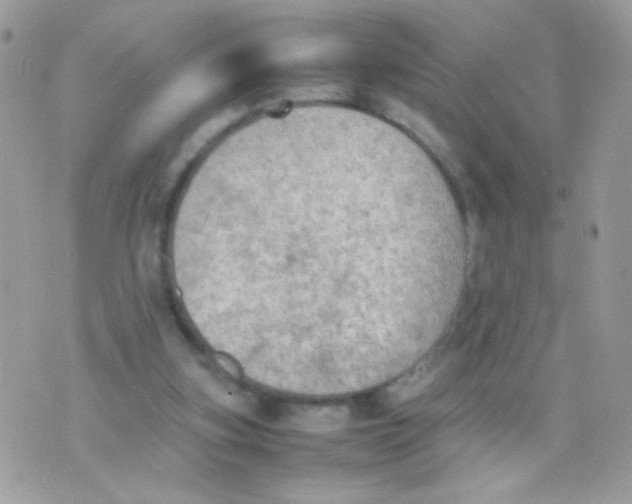 X0000074970155200609291947