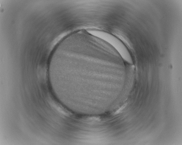 X0000074970156200609291947