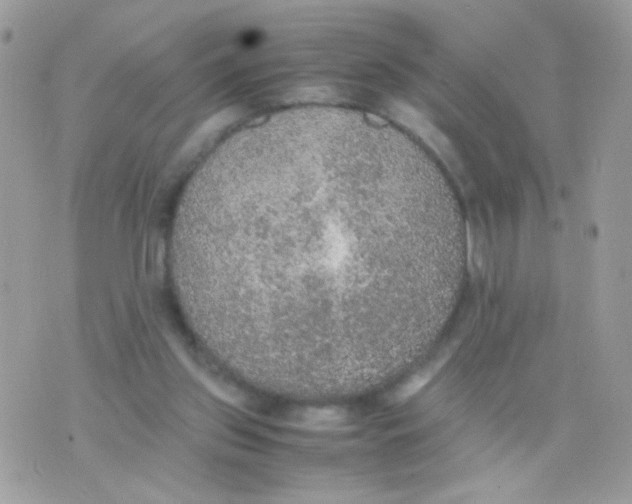 X0000074970157200609291947