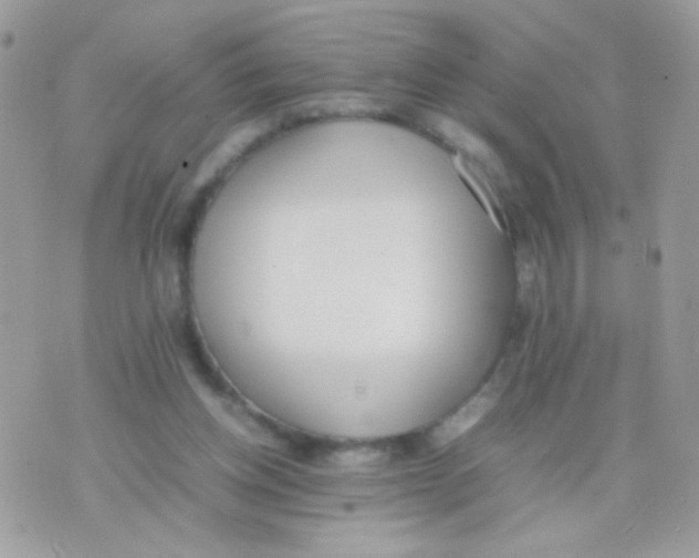 X0000074970158200609291947