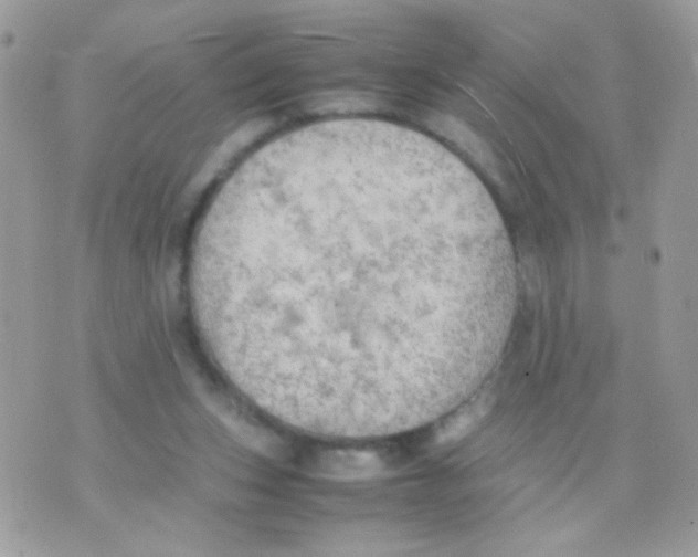 X0000074970159200609291947