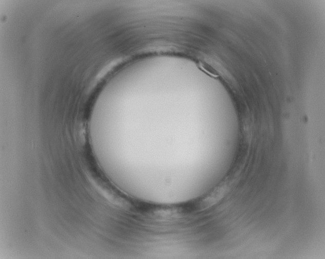 X0000074970160200609291947