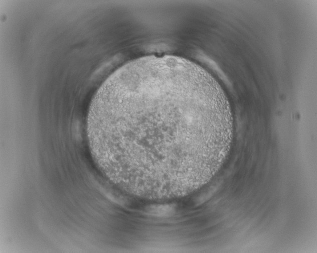 X0000074970161200609291947