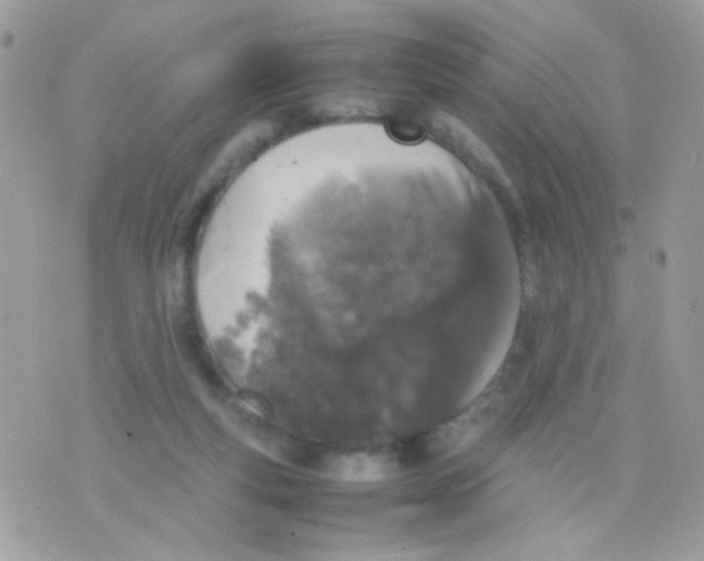 X0000074970163200609291947