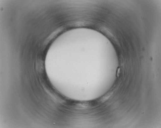 X0000074970164200609291947