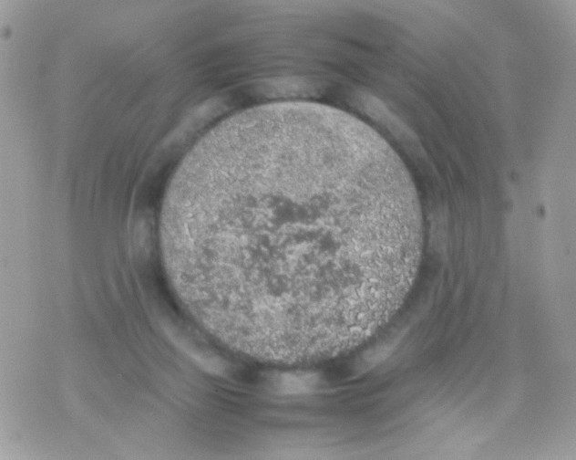 X0000074970165200609291947