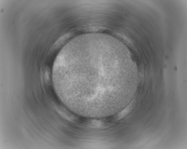 X0000074970166200609291947