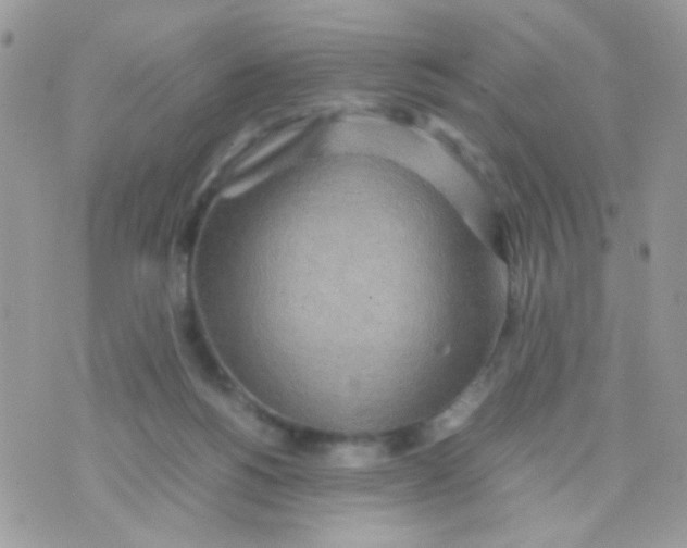 X0000074970168200609291947