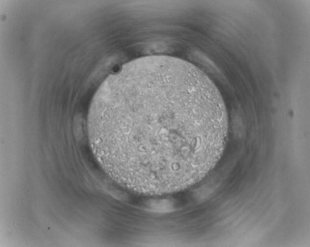 X0000074970169200609291947