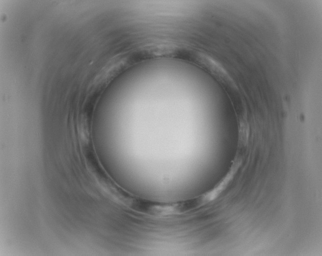 X0000074970170200609291947