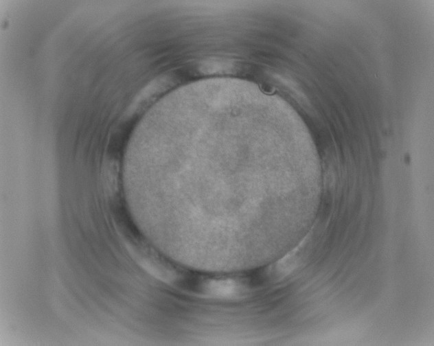 X0000074970171200609291947