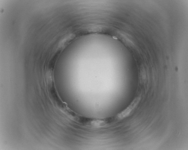 X0000074970172200609291947