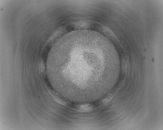 X0000074970173200609291947