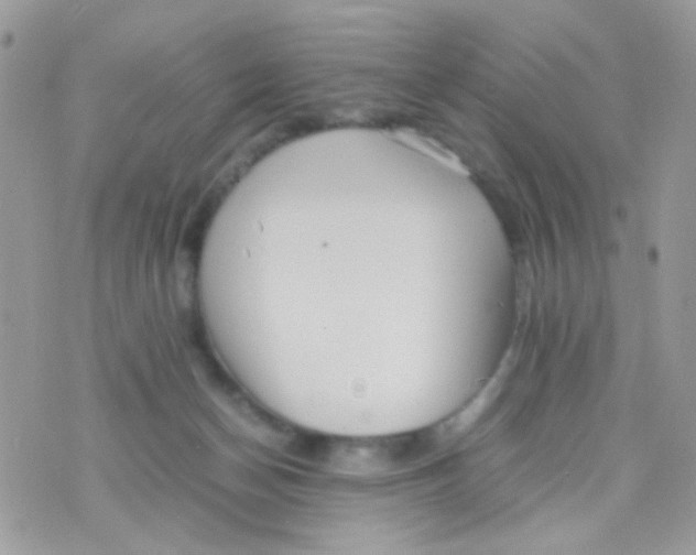 X0000074970174200609291947