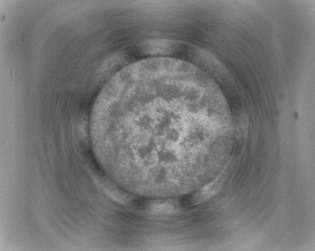 X0000074970175200609291947