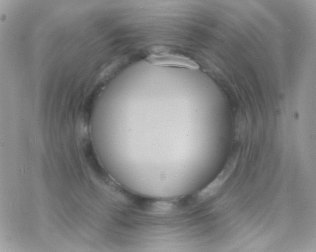 X0000074970176200609291947